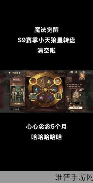 哈利波特魔法觉醒，小天狼星实战秘籍大公开