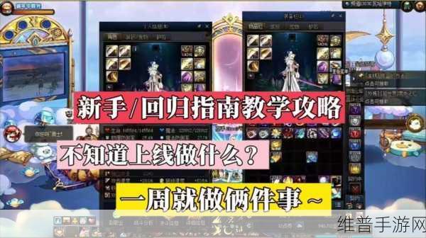 DNF 点卷全攻略，比例、获取与使用秘籍