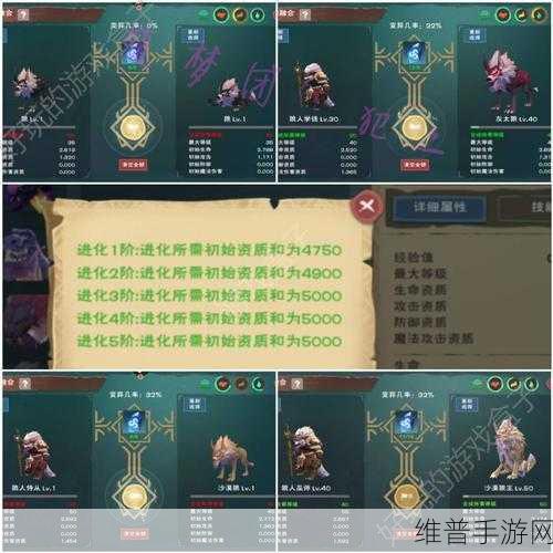创造与魔法狼人巫祝技能深度解析