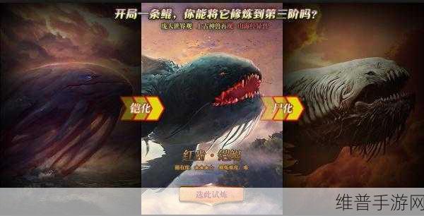 天谕手游职业全解析 最强之选等你来定