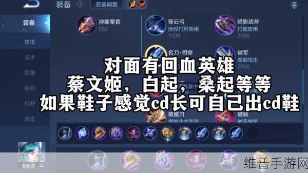 张大仙王昭君出装铭文深度解析