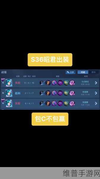 张大仙王昭君出装铭文深度解析