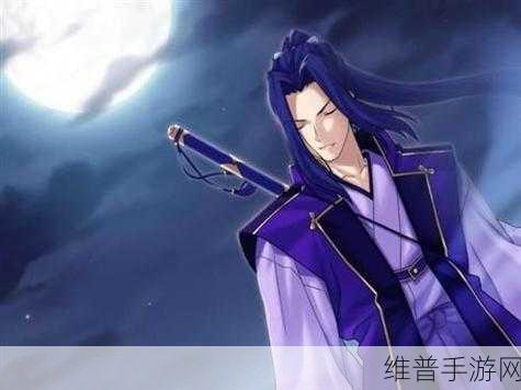 无双大蛇 3 佐佐木小次郎深度解析
