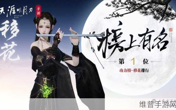 天涯明月刀手游太白究竟实力几何