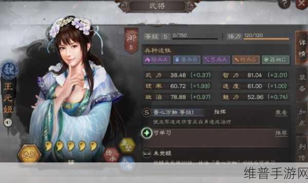 三国志战略版，王元姬技能深度剖析与玩法指南