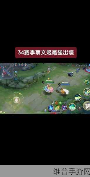 手游蔡文姬肉装出装秘籍大公开