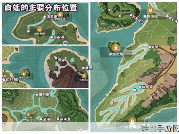 创造与魔法，新宠物拳皇技能全解析