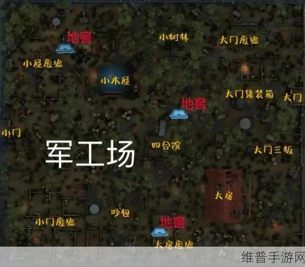 第五人格，区选策略全解析，称霸游戏战场