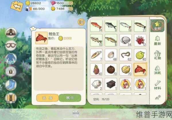 小森生活金枪鱼垂钓与美食制作全攻略