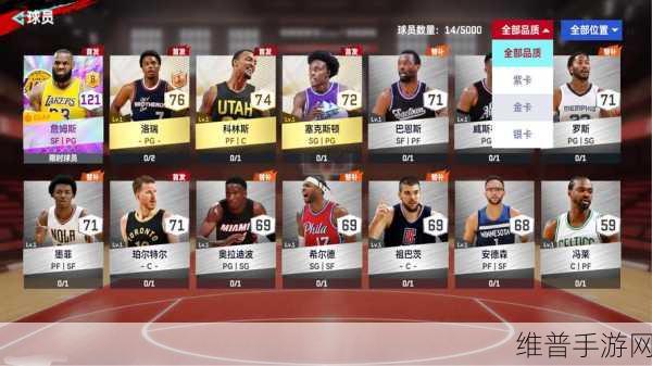 NBA 巅峰对决，教练角色的深度解析与价值