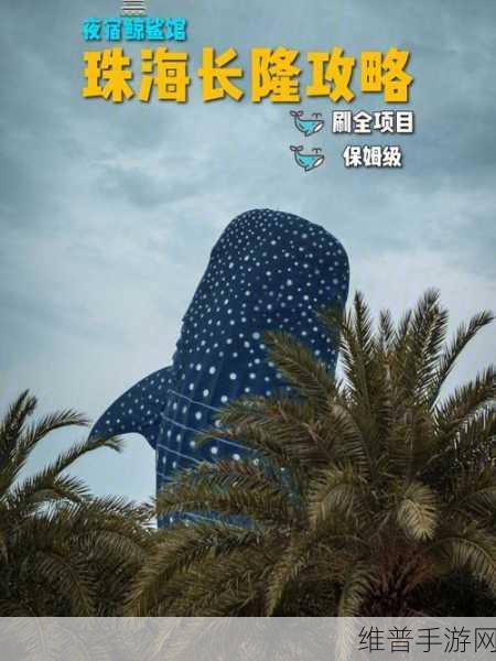 影业梦想家，探索多样剧本玩法的奇妙世界