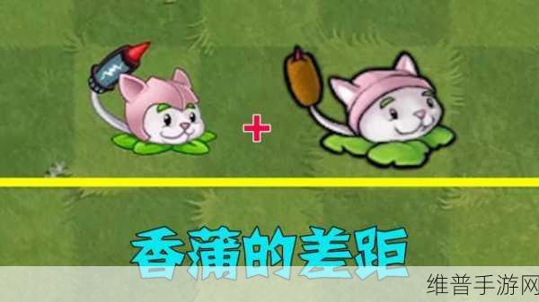 桃源记 2香蒲草获取秘籍大公开