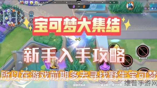 宝可梦大集结，入坑与否的深度剖析
