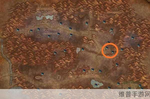 魔兽世界纪念服黑莲花探秘，分布位置全解析