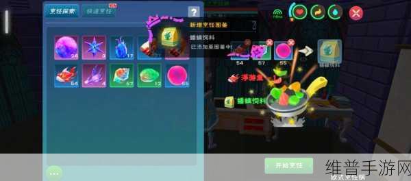 创造与魔法，云斑鹦鸟饲料包数量大揭秘