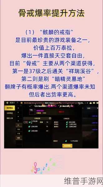 DNF 手游中资料袋消失之谜与应对策略
