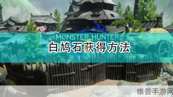 怪物猎人世界，白鸩石采集全攻略