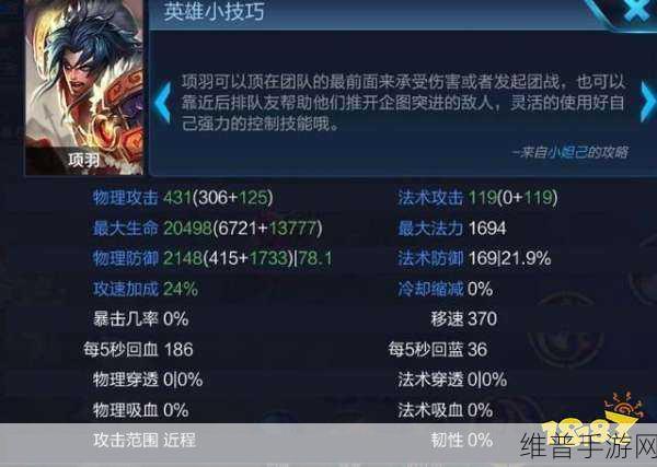 王者荣耀苍职业定位深度解析与实战技巧