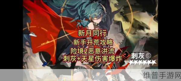 新月同行，探索 6 星大招的神秘力量
