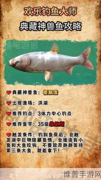 欢乐钓鱼大师畅玩秘籍，全方位攻略指南