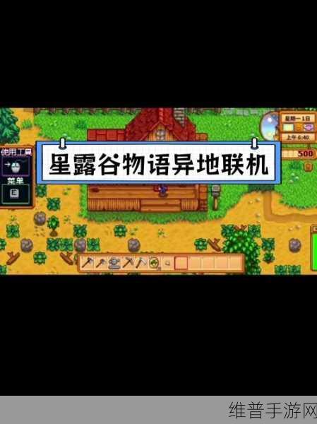 星露谷物语，携手好友共筑友谊秘籍