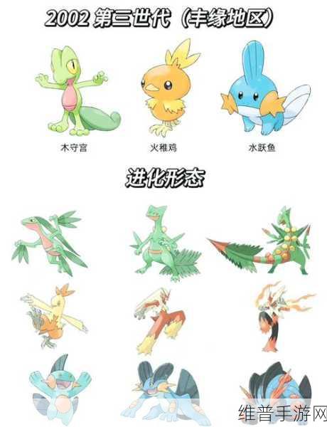 宝可梦大集结中杰尼龟的实力解析