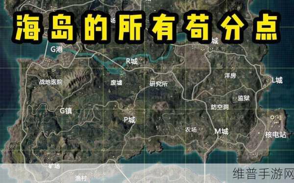和平精英海岛地图全新版本深度解析与致胜攻略