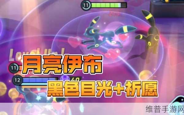 宝可梦大集结，月亮伊布对战道具的绝佳选择策略