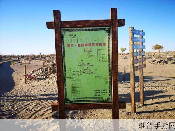 逍遥九重天逍遥梦境，奇幻冒险之旅
