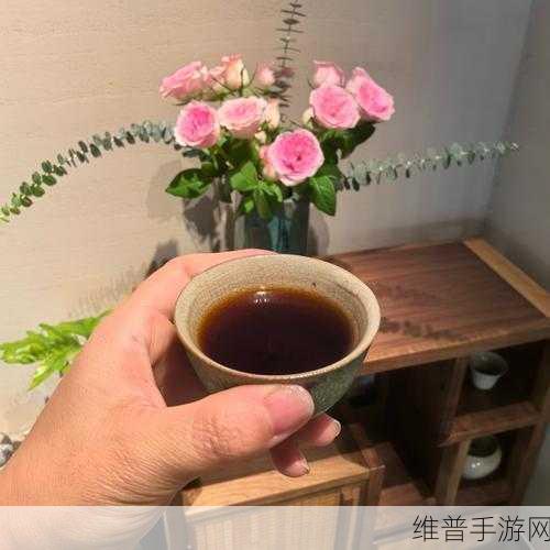 浮生忆玲珑茶后闲谈任务全解