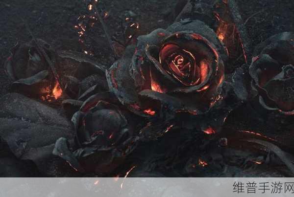 辐射 76 灰烬玫瑰获取秘籍大公开