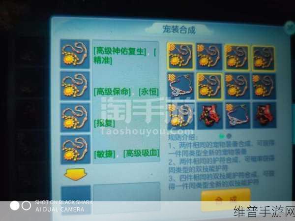 神武手游合护符秘籍，解锁双技能的终极攻略