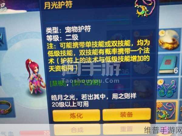 神武手游合护符秘籍，解锁双技能的终极攻略