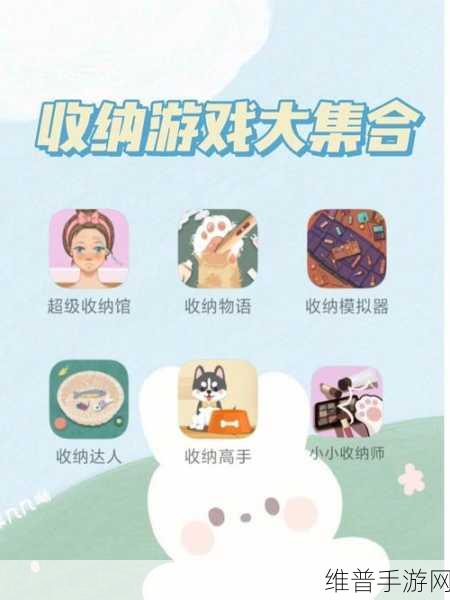 收纳物语之霸王别姬通关秘籍大揭秘