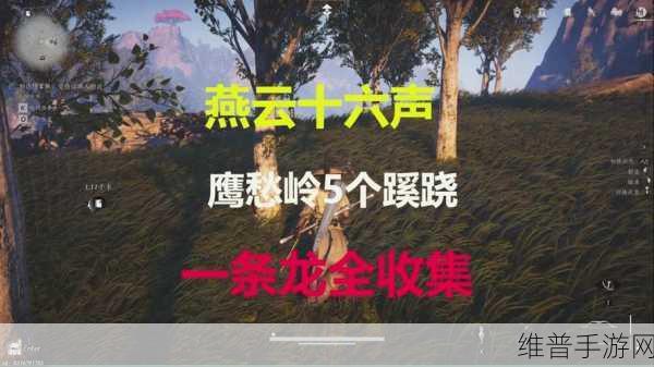 燕云十六声，喵老大难当任务全解析