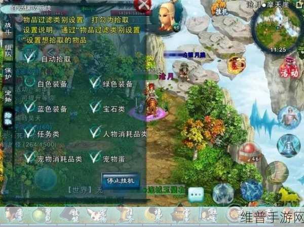 忘仙神炼石的巧妙运用指南