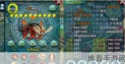 忘仙神炼石的巧妙运用指南