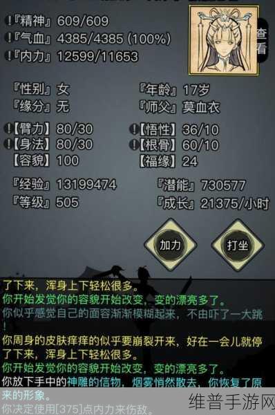 放置江湖中臂力的奥秘与提升攻略