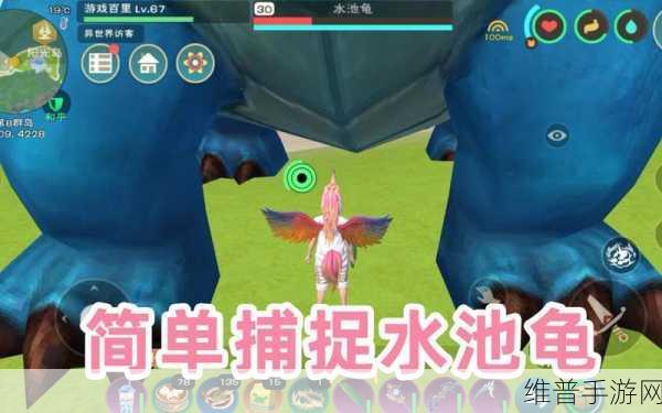 创造与魔法，水池龟饲料投喂大揭秘