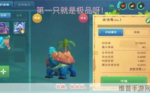 创造与魔法，水池龟饲料投喂大揭秘