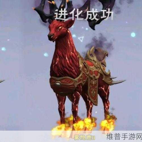创造与魔法，探寻英俊白马的神秘踪迹
