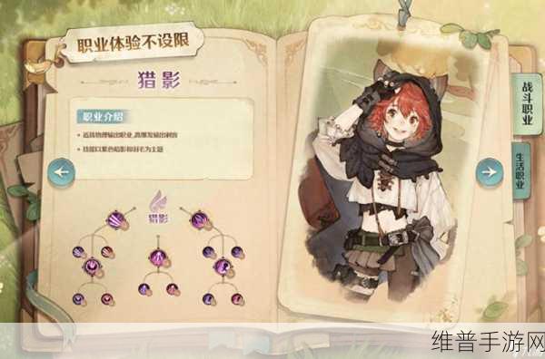 森之国度职业抉择指南，助你称霸奇幻之旅