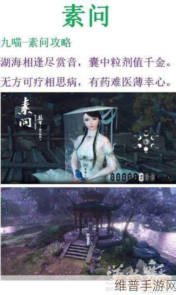 诛仙神武天极塔通关秘籍全解析