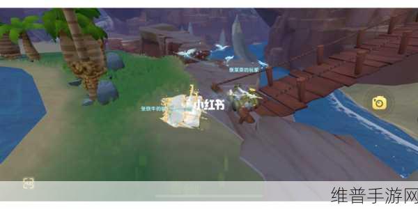 摩尔庄园,新载具与新家具的魅力探寻
