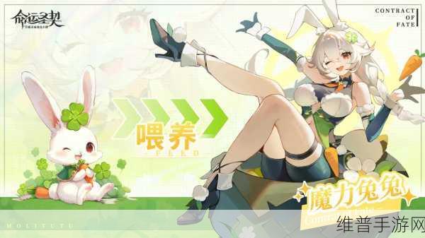 命运圣契手游武神蕾娜深度解析