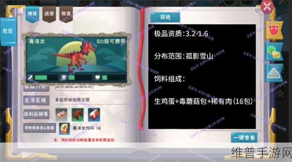 创造与魔法，探寻宝藏的终极指南