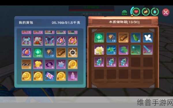 创造与魔法，探寻宝藏的终极指南