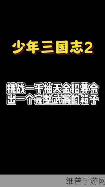 少年三国志 2 雾隐仙踪 PVP 玩法深度解析