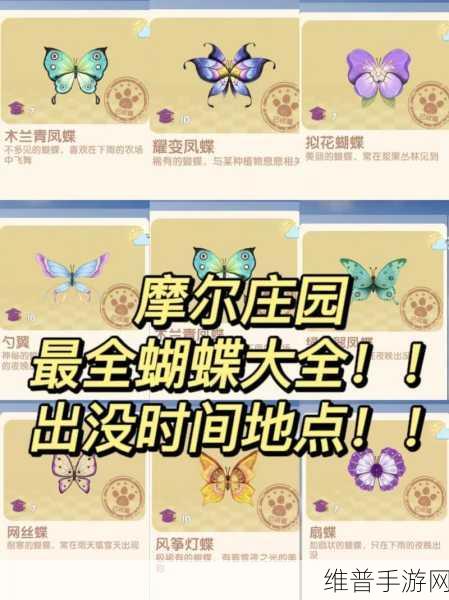 摩尔庄园手游，木兰青凤蝶位置全揭秘