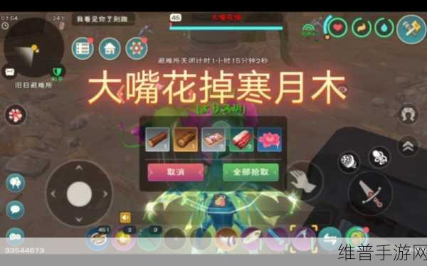 创造与魔法，幼鲭鲨饲料投喂全解析